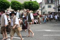 IMG_6415 (2) 